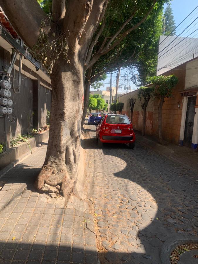 Coyoacan Magico Mexico City Exteriör bild